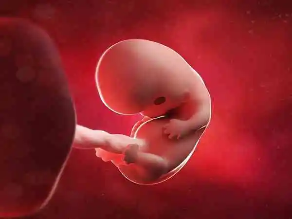 孕期胎儿营养不良的表现有哪些(图1)