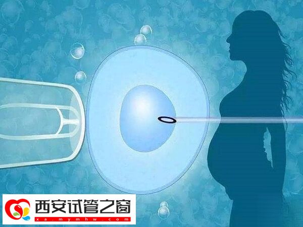 卵巢早衰做试管一般几次成功(图1)