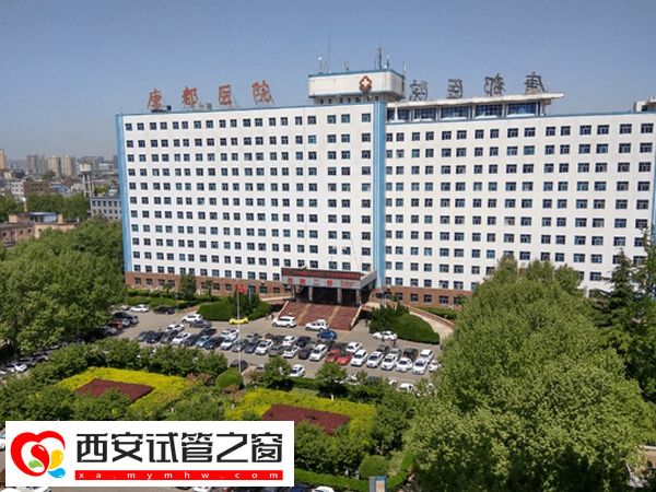 西安助孕医疗机构名单汇总，能做三代试管的仅有这两家(图1)